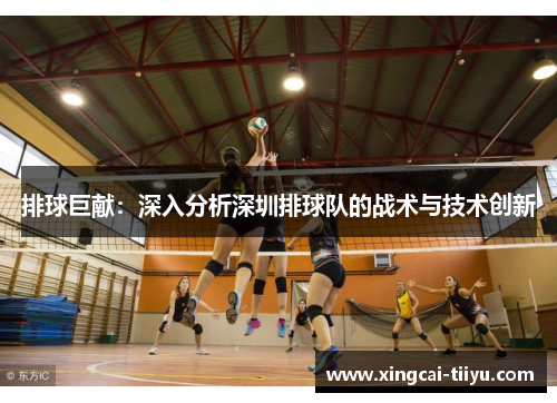 排球巨献：深入分析深圳排球队的战术与技术创新
