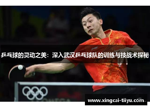 乒乓球的灵动之美：深入武汉乒乓球队的训练与技战术探秘