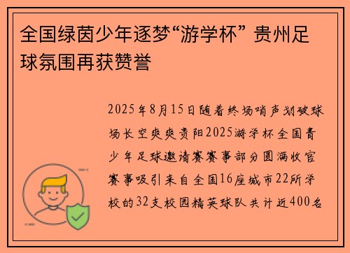 全国绿茵少年逐梦“游学杯” 贵州足球氛围再获赞誉